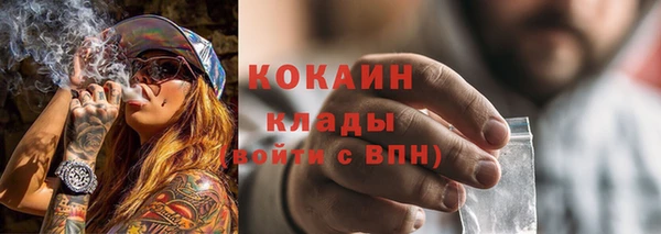mdpv Няндома